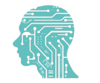 Elite Road for programming and development